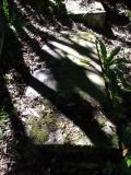 image of grave number 682075
